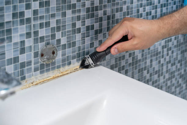 Best Mold Remediation Experts  in Tusculum, TN