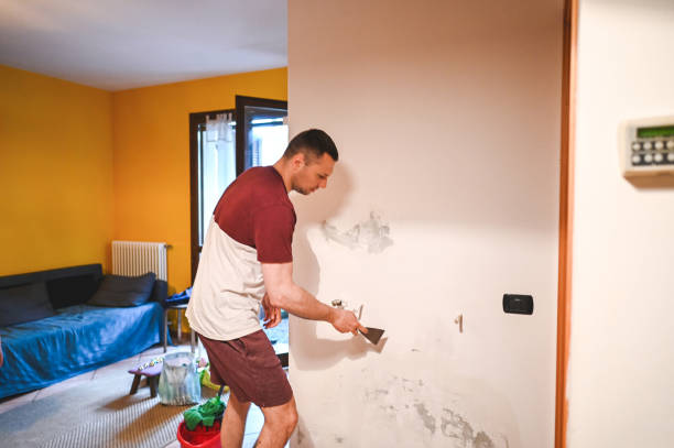 Best Residential Mold Removal  in Tusculum, TN
